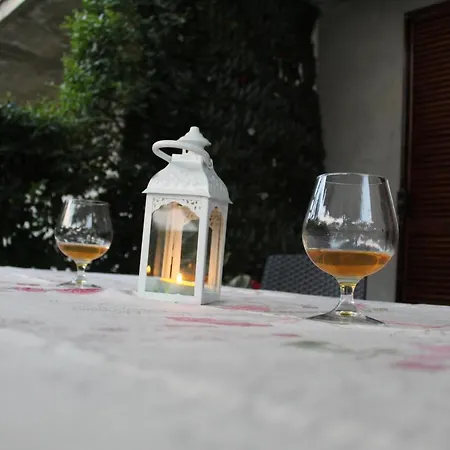 Relax In The Olive Grove