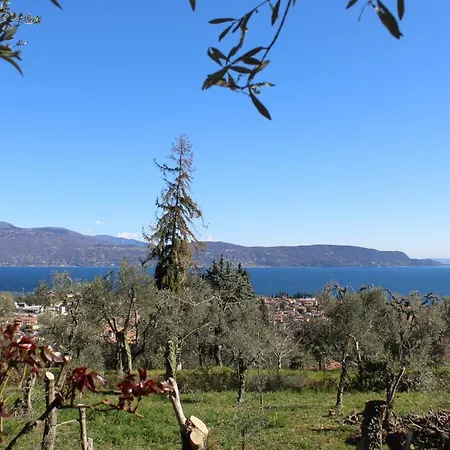 Relax In The Olive Grove Appartement *